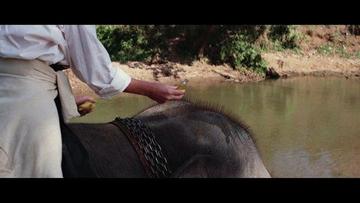 Kate Capshaw in Indiana Jones and the Temple of Doom (1984) Sexy Sexy 258992