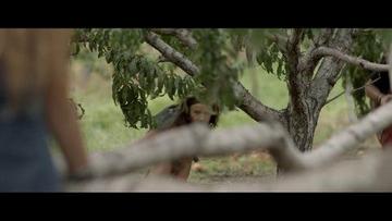 Morgan Taylor Campbell in The Orchard (2016) Breasts Bush Breasts Bush 261864