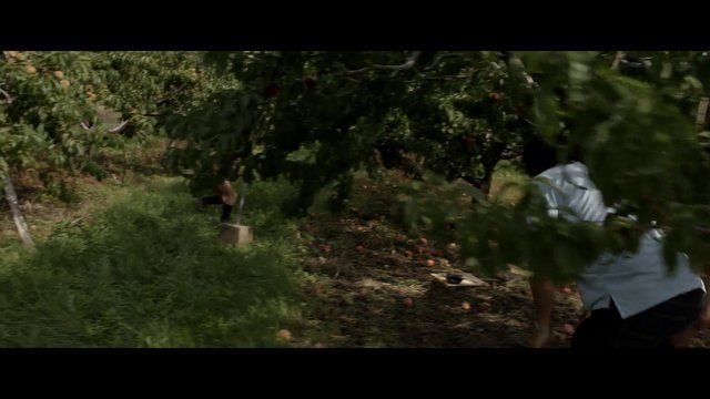 Morgan Taylor Campbell Nude as Olive Cunningham. Breasts, Bush, butt, sexy. 261866