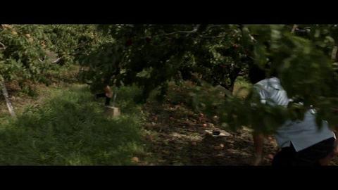 Morgan Taylor Campbell Nude as Olive Cunningham. Breasts, Bush, butt, sexy. 261866