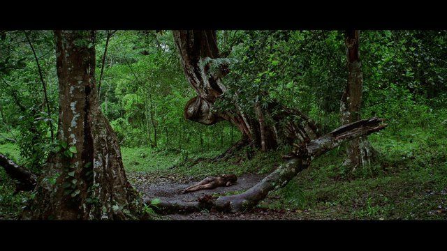 Mallika Sherawat in Hisss (2010) Butt Body Double Real Sex Bikini 265791