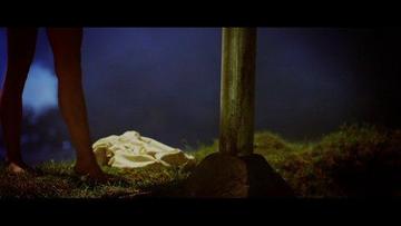 Mallika Sherawat in Hisss (2010) Body Double Breasts Butt Real Sex Bikini 265798