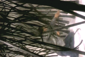 Jean Stewart in Getting Lucky (1990) Breasts Butt Bush Breasts Bush 211109