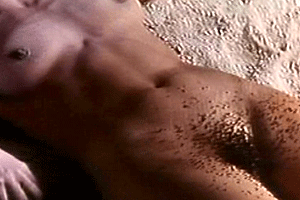 Maribel Verdú in Huevos de oro (1993) Breasts Bush Breasts Bush 208715