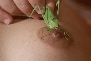 Zélia Diniz in Pornô! (1981) Full Nudity Breasts Bush 222485