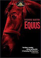 Equus Breasts Bush 51160