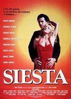 Siesta Breasts Bush 96078