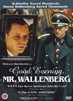 Good Evening, Mr. Wallenberg Breasts Sexy 91723