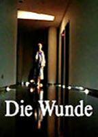Die Wunde Bikini Breasts 93487