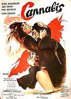 Cannabis Breasts Bush 51375