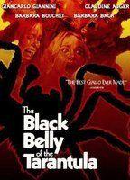 Black Belly of the Tarantula Breasts Bush 83596
