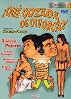 ¡Qué gozada de divorcio! Breasts Bush 90956