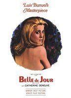 Belle de jour Breasts Butt 78273