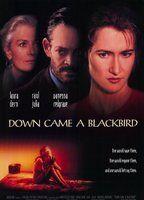 Down Came a Blackbird Breasts Butt 79574