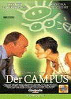 Der Campus Underwear 68026