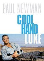 Cool Hand Luke Sexy 83080