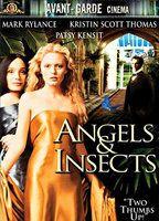 Angels & Insects Breasts Bush 78425