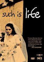 Such Is Life Breasts Bush 73668