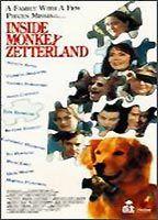 Inside Monkey Zetterland Underwear 52451