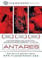 Antares Breasts Bush 96121