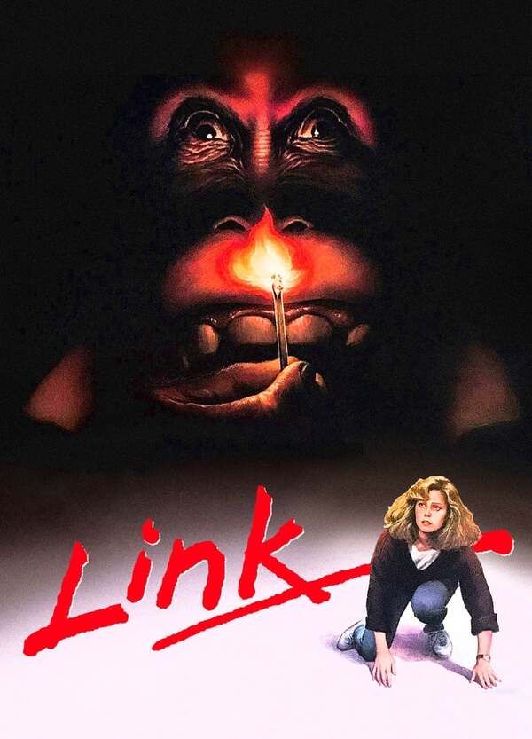 Link
