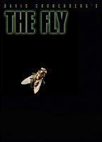 The Fly Bikini Breasts 74952