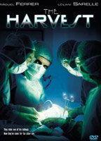 The Harvest Breasts Bush 83205