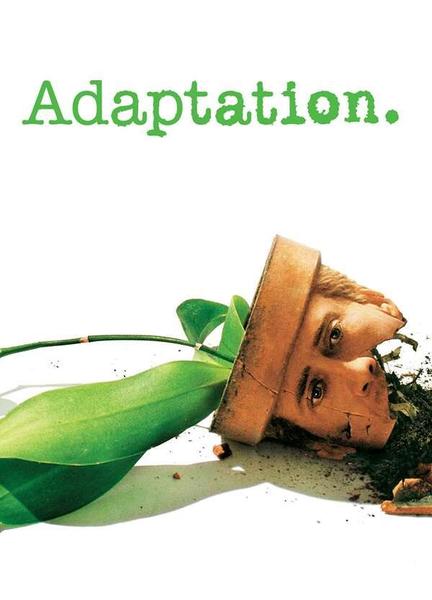 Adaptation Body Double Breasts 113165