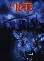 The Rats Breasts Thong 84300