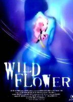 Wildflowers