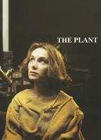 The Plant Breasts Bush 127274