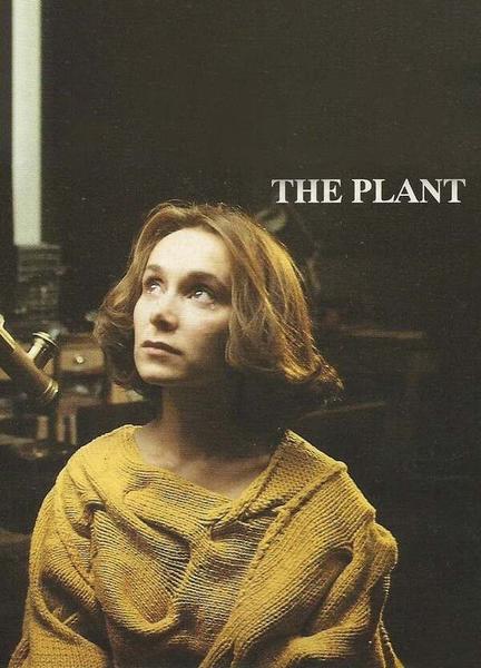 The Plant Breasts Bush 127274