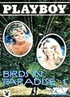 Birds in Paradise Breasts Bush 74258