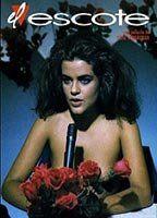 L' escot Breasts Bush 93464