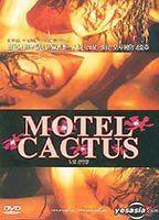 Motel Cactus Breasts 93799