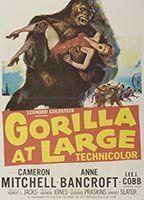 Gorilla at Large Sexy 92552