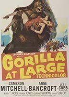 Gorilla at Large Sexy 92552