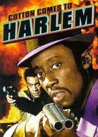 Cotton Comes to Harlem Breasts Bush 87573