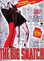 The Big Snatch Breasts Bush 73039