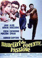 Bruciati da cocente passione Breasts Bush 89711