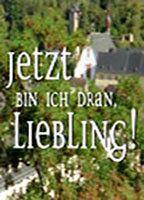 Jetzt bin ich dran, Liebling! Bikini Breasts 93611