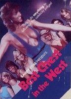 Best Chest in the West Breasts Breasts* 111045