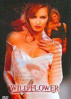 Wildflower Breasts Bush 80455