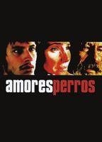 Amores Perros Breasts Sexy 124103