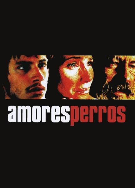 Amores Perros Breasts Sexy 124103