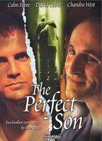 The Perfect Son Breasts Butt 79757