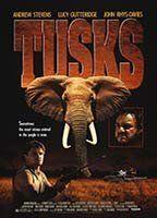 Tusks Breasts 93131