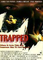 Trapped Breasts Bush 81586
