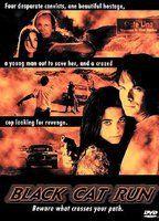 Black Cat Run Right Breast 79935