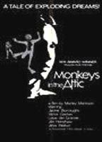 Monkeys in the Attic Breasts Bush* 68408